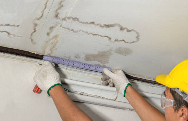 Reliable Structural Drying contractor in Freeport, MI by Water Damage Irwin